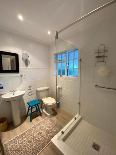 a bathroom with a shower and a toilet and a sink at Courtyard on Weder in Greyton