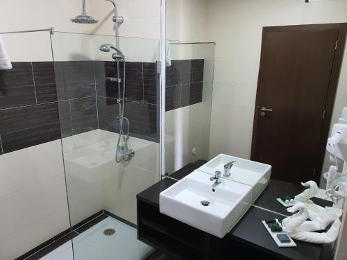 a bathroom with a sink and a shower at Hotel Vila Raia in Idanha-a-Nova