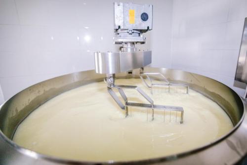 Gambar di galeri bagi Via Lattea Agritourism di Svetvinčenat