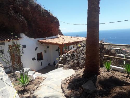 ein Haus auf einem Hügel mit einer Palme in der Unterkunft Casa rural Alessia with jacuzzi ,garden & swimming pool in Santa Cruz de Tenerife