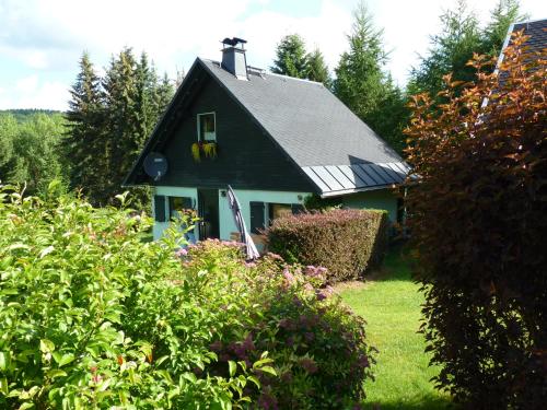 uma casa verde com um telhado preto e alguns arbustos em Ferienhaus Elke em Kurort Altenberg