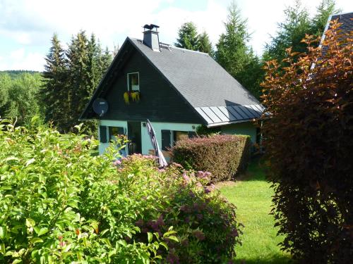 a green house with a black roof and some bushes at Ferienhaus Elke in Kurort Altenberg