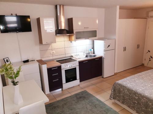 a small kitchen with a stove and a sink at Apartment Ognissanti 1 - free parking in Koper