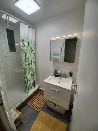 W łazience znajduje się umywalka i prysznic. w obiekcie Marseille élégance Appartement 2 chambres Climatisé 60 m2 de confort et Proximité w Marsylii