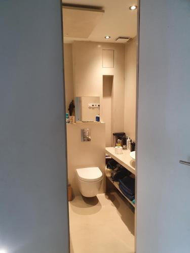 a bathroom with a toilet and a sink at Appartement in Stadsdeel West in Amsterdam