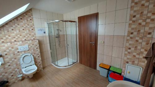 a bathroom with a shower and a toilet and a sink at Kubátovna in Chotěboř