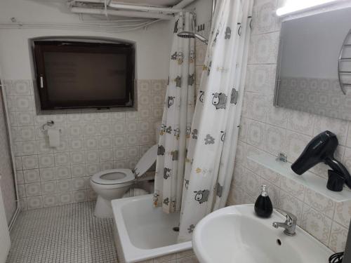 a bathroom with a sink and a toilet and a television at Schönes einfaches zentrales Zimmer in Oldenburg in Oldenburg