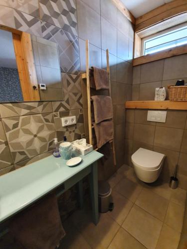 a bathroom with a sink and a toilet in it at B&B Biej' oons tuus in Hellendoorn