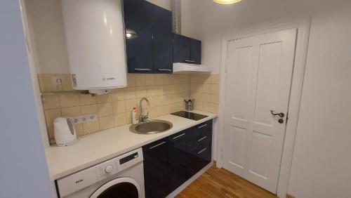 a small kitchen with a sink and a washing machine at Jungas nams in Liepāja