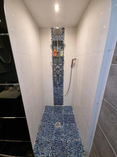 a bathroom with a shower with a blue tile floor at La terrasse du Roubion in Montélimar