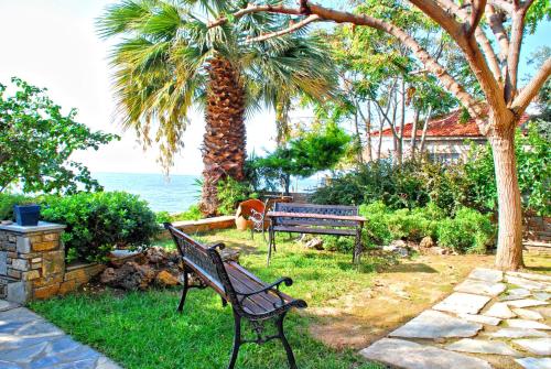 a park bench next to a palm tree and the ocean at Studios Efi in Kala Nera