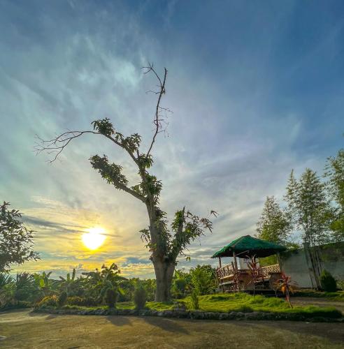 a tree with a gazebo with the sunset in the background at La Plumerias in Moalboal