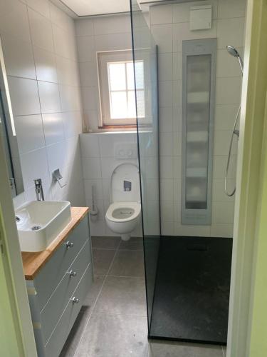 Koupelna v ubytování Wellness chalet met sauna