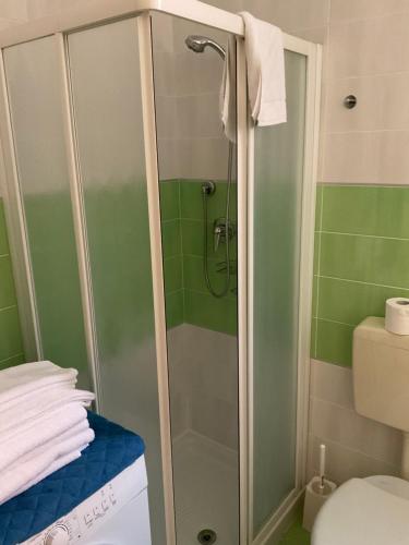 a shower with a glass door in a bathroom at Villaggio dei Fiori Apart- Hotel 4 Stars - Family Village Petz Friendly in Caorle