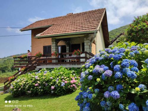 Zahrada ubytování Apartman Jovanovic-Rudnik