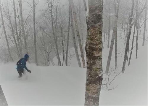a person riding a snowboard in the snow next to a tree at White Tree Log House Madarao Tangram in Shinano