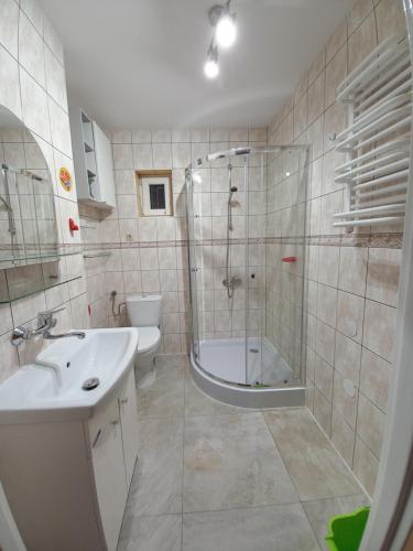 a bathroom with a shower and a sink and a toilet at Pokoje gościnne- Łosiówka in Sztutowo
