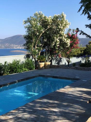 Villa-Agave , by the sea in Porto-Rafti outside Athens
