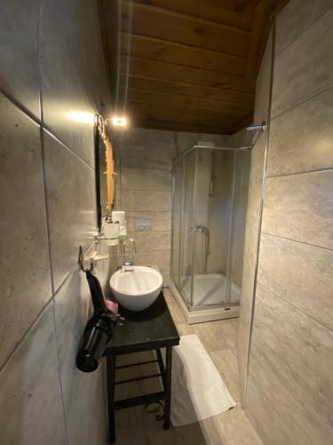 a bathroom with a sink and a glass shower at Ebrulu Konak in Safranbolu