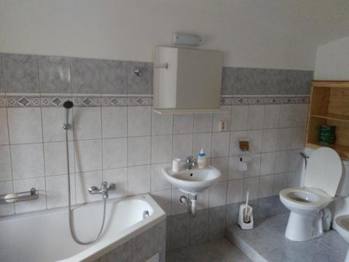 a bathroom with a sink and a toilet and a bath tub at Ubytování U Sviráků in Srbská Kamenice