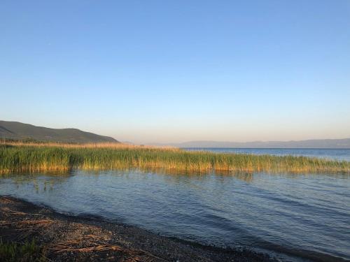 a view of a body of water with grass at Home on Iznik Lake with its own Private Beach in Bursa