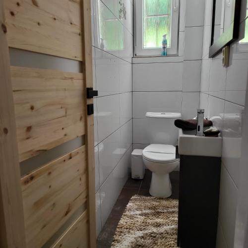 a bathroom with a toilet and a sink and a window at Apartment Villa Hřensko 132 in Hřensko