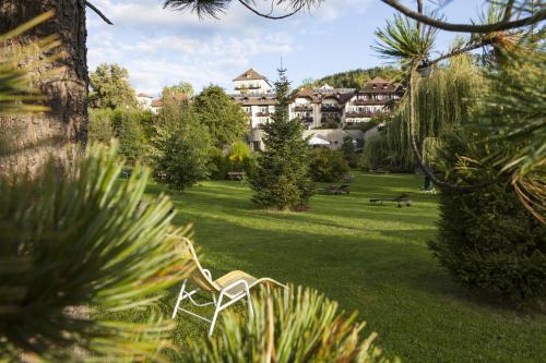 a lawn with a chair in the middle of a park at Hotel Bemelmans-Post in Collalbo