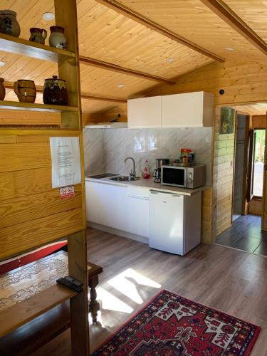 - une cuisine avec cuisinière et four micro-ondes dans l'établissement Chalet rustique, 3pièces, jusqu'à 6 personnes, à Urbès