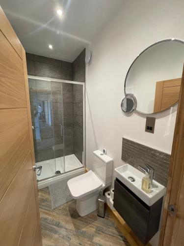 a bathroom with a toilet and a sink and a mirror at Three-winds-guesthouse in South Crosland