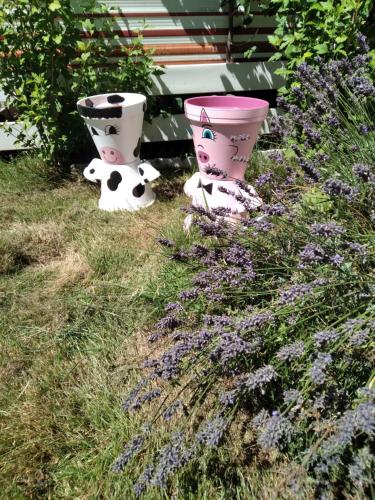 two pots sitting in the grass next to some flowers at ferme pedagogique des pennetieres in Montcorbon