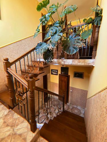 a hallway with a staircase with a plant at Вілла де Кампо in Chynadiyovo