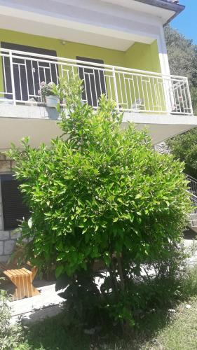 Giardino di Apartment Dragone