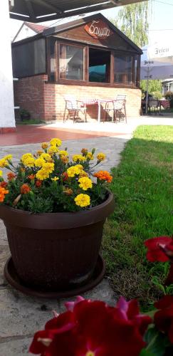 a pot of flowers in front of a restaurant at Hotel Slodes in Belgrade