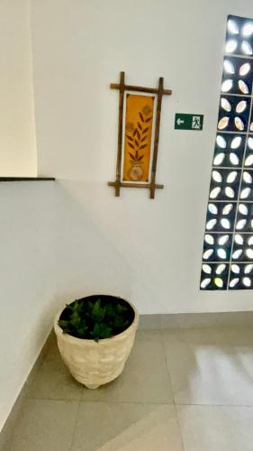 a plant in a basket next to a wall at Pousada Ilha Vitoria in Ubatuba