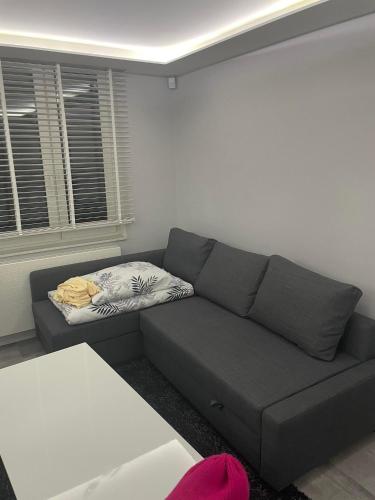 uma sala de estar com um sofá cinzento e uma janela em APARTAMENT Poniatowa em Poniatowa