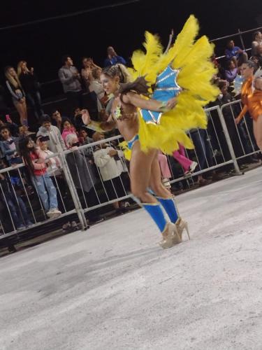a woman in a yellow costume dancing in front of a crowd at Excelente casa en Concepción del Uruguay LA CHINA in Concepción del Uruguay