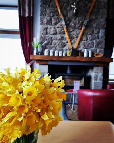 a vase filled with yellow flowers sitting on a table at Hôtel Les Charmilles in Besse-et-Saint-Anastaise