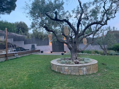 Κήπος έξω από το Sea view villa in Olive Garden