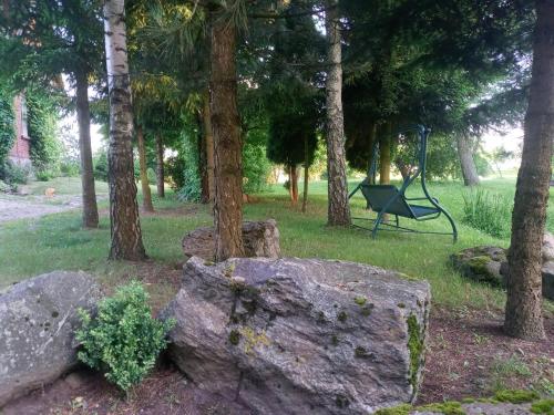 a park with trees and a swing in the grass at Agroturystyka Pod Dębem in Jonkowo