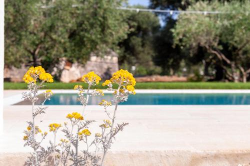 a bunch of yellow flowers in front of a pool at Le Dimore Di Speziale in Fasano