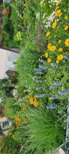 un jardín con flores y plantas coloridas en Apartments in der Nähe von Red Bull Ring en Proleb