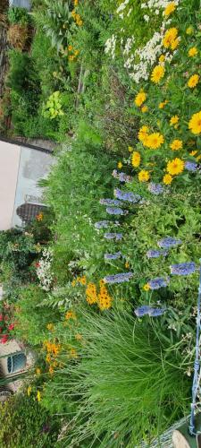 einen Garten mit bunten Blumen und Pflanzen in der Unterkunft Apartments in der Nähe von Red Bull Ring in Proleb