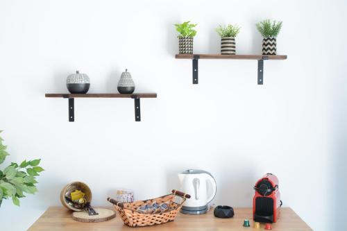 a shelf on a white wall with plants on it at Maistrali in Provatas