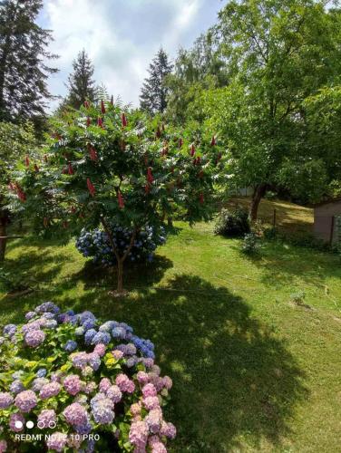 a garden with a tree with pink and purple flowers at Apartman Jovanovic-Rudnik in Rudnik Kačerski