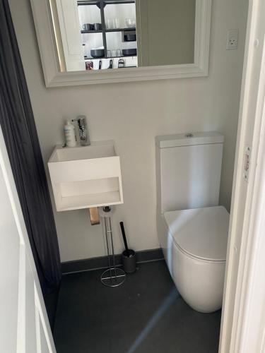 a bathroom with a toilet and a sink and a mirror at Annex near beach close to Copenhagen in Vedbæk