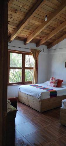 1 dormitorio con 1 cama con techo de madera en Cabañas los cactus 2, en Huasca de Ocampo