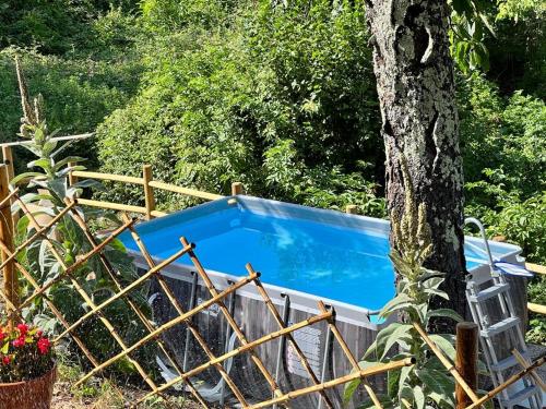 a swimming pool in a yard next to a tree at THE DORMOUSE - Il Ghiro in Reusa