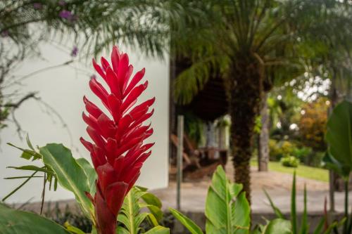Vista Lago Arenal – Photos 4