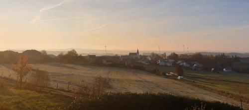 a view of a field with a town in the distance at Ferienwohnung Schwalbennest in Weinsheim