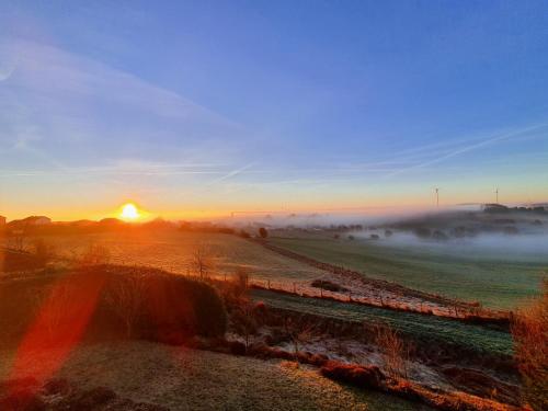 a foggy field with the sun setting in the background at Ferienwohnung Schwalbennest in Weinsheim